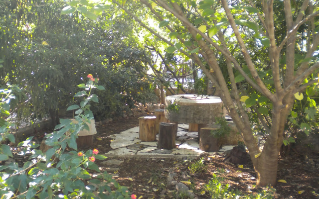 Lastavica Apartments