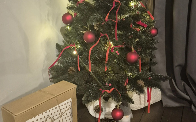 Квартира Сканди хаус на пр-те Ленина 29