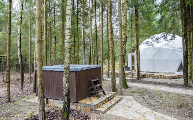 Частный дом Дом-Сфера в Лесу