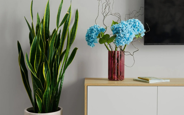 Квартира премиум класса