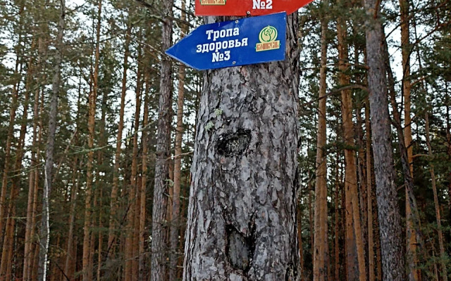 Санаторий-профилакторий Кошкуль