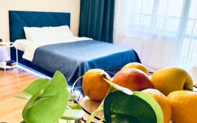 Апартаменты Cтандарт на Крестинского 35