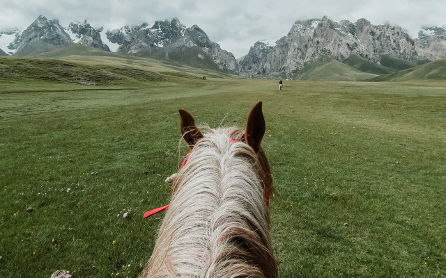 Глэмпинг Yurt camp Visit Kol-Suu
