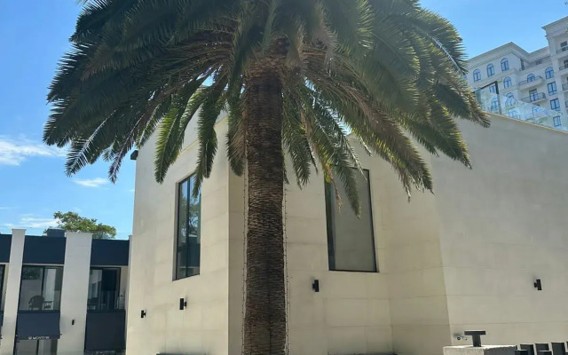 Zolotoy Treugolnik Sochi Premium Apartments