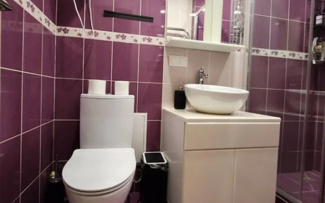 Yevrodvushka V Tsentre Goroda Flat