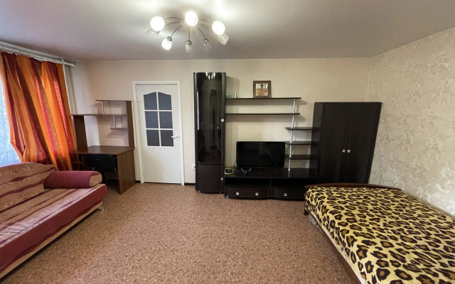 Квартира на Мичурина 29