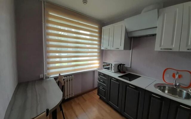 Na Prospekte Rybakov 2 Apartments