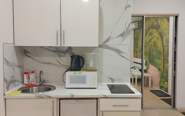 Studii V Tsentre Kazani Na Mayakovskogo Apartments