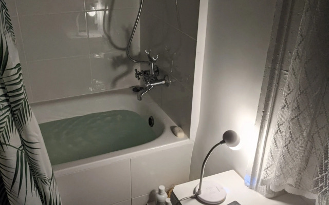 Studiya Kupecheskiy Dom Kontsa XIX Veka Flat