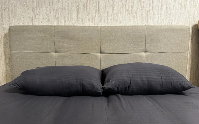 Na sutki na Pushkina r2 Apartments