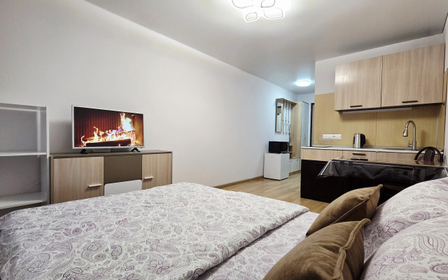 Квартира комфортная от сети RoomOnDay