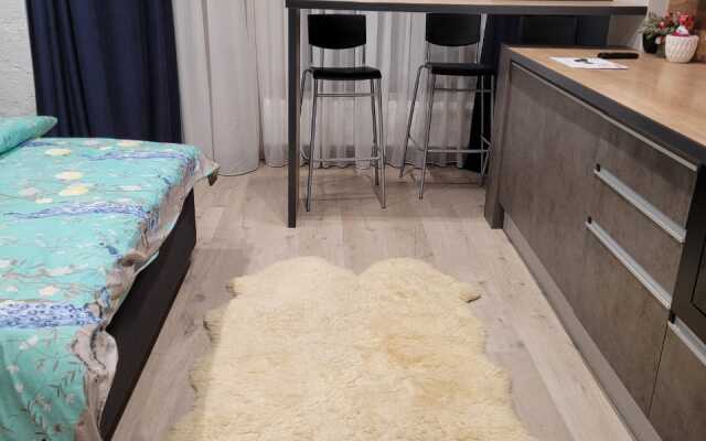 Studiya v stile Loft