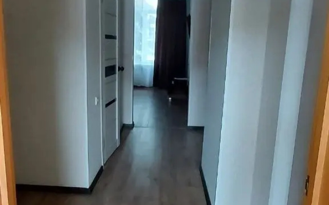 Odnokomnatnye Apartments