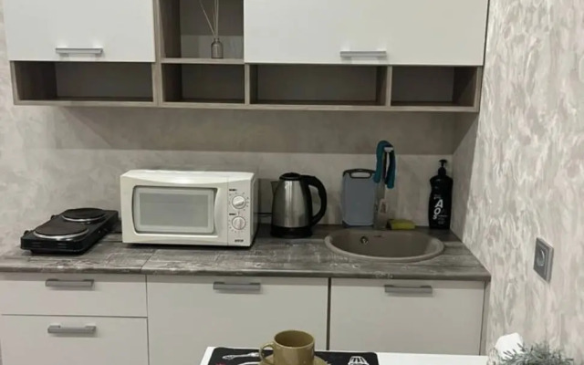 Квартира студия Аэропорт