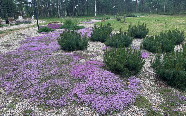 Отель Бутик Граве Резорт