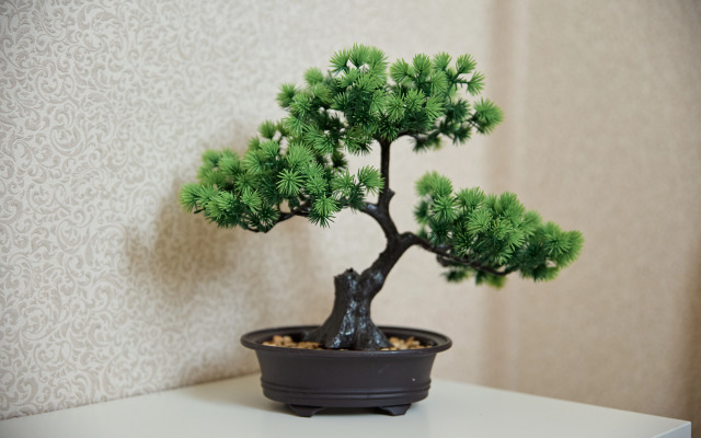 Частный дом Алмаз