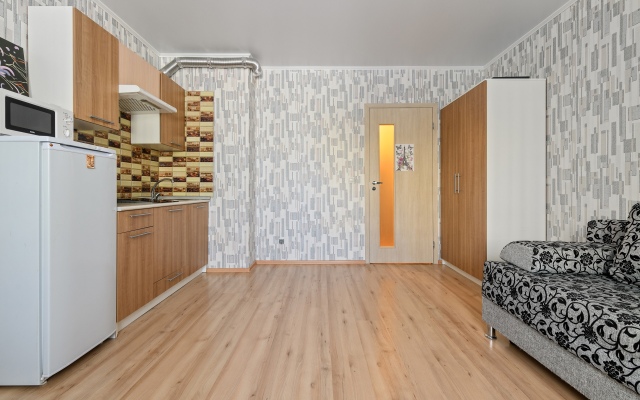 Апартаменты на Шефнера 10 к1