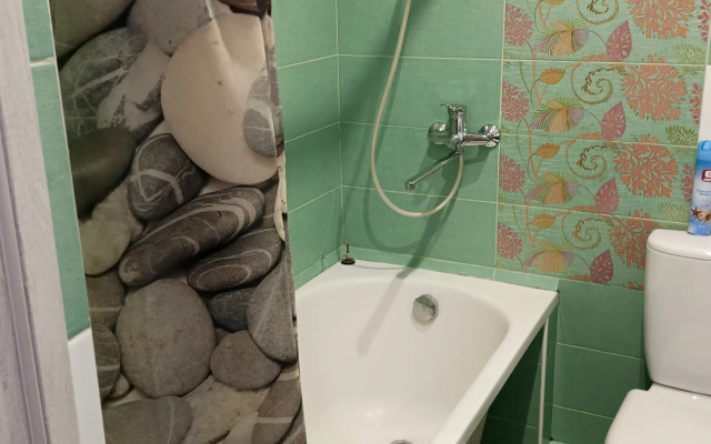 Na Vinogradnoy 22/1B Apartments