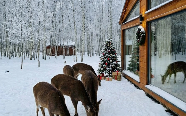 Гостевой дом Бэмби Лэнд