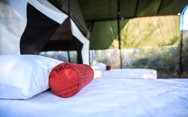 Topan Yala – Luxury Tented Safari