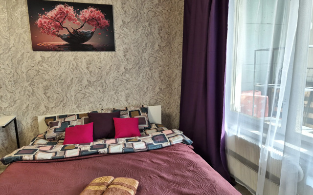 Uyutnaya V Tsentre Koroleva Flat