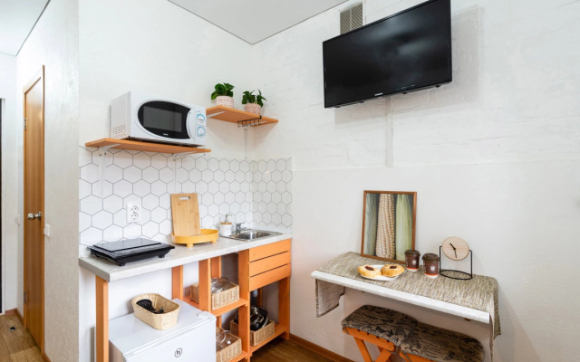 Pushkinskiy Flat 1