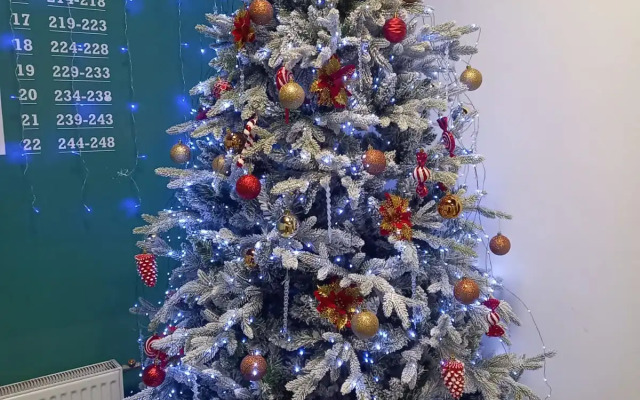 Квартира Красноармейская 19