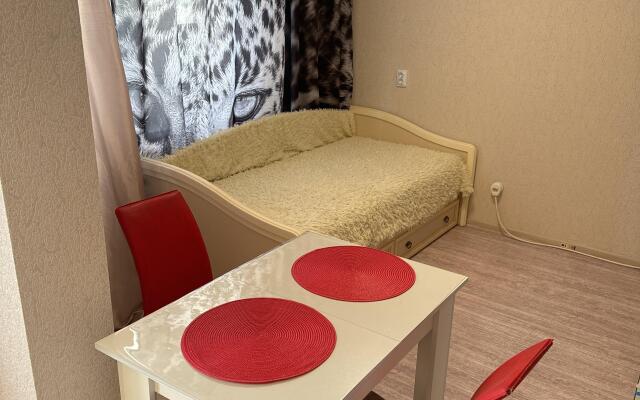 Vyezd V Gorod Flat