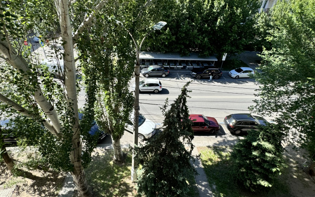 Na central'noj naberezhnoj Flat