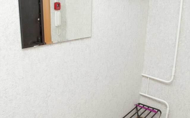 Uyutnaya Kvartira Vozle Sheremetyevo Apartments