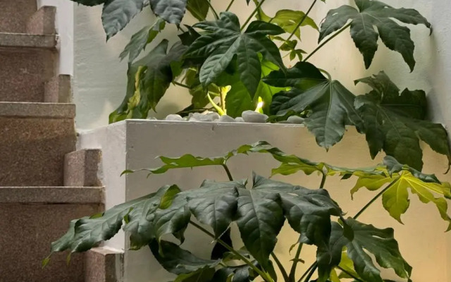 Hospedium Hotel La Fuente