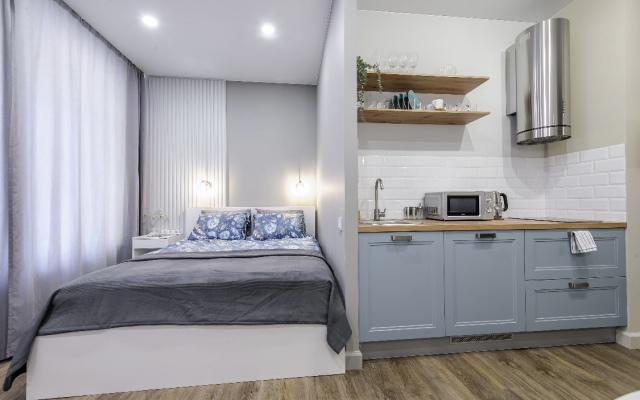 Vosstaniya Square Boutique Studio Apartments 1
