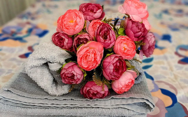 Апартаменты Центр