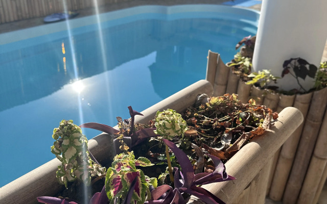 Villa Chudachka Guest House