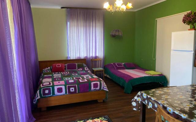 Gostevaya komnata Private House