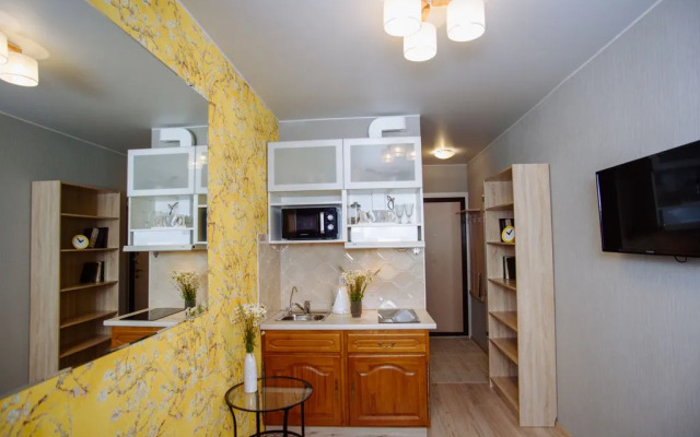 Квартира студия на Невском 14кв