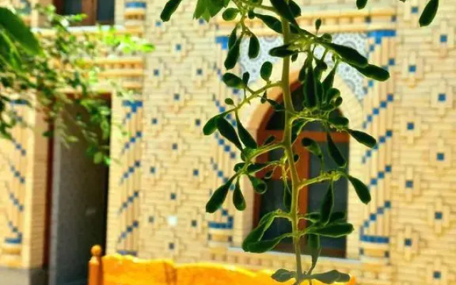 Хостел Colibri Traditional Hostel