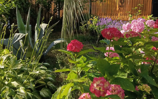 Assol Guest House