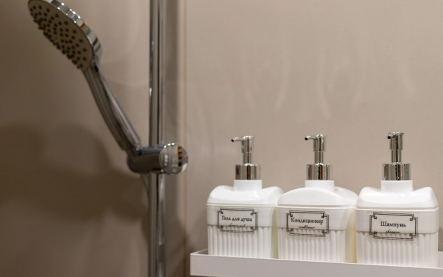 Апартаменты в центре Санкт-Петербурга