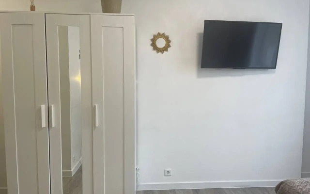 Studiya S Otdelnoy Kukhney Flat