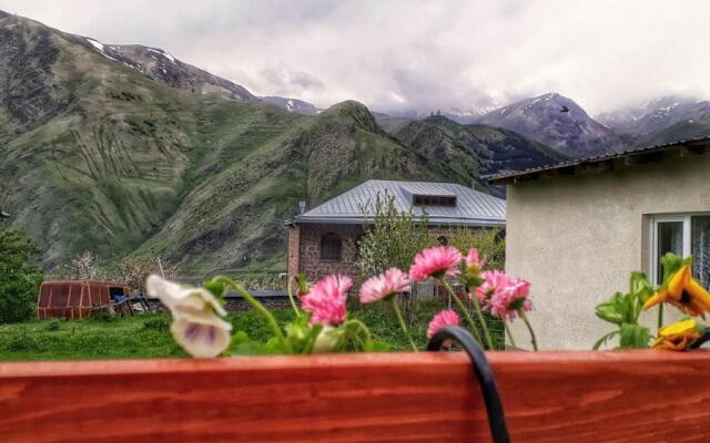 Elguja Qushashvili Guest house