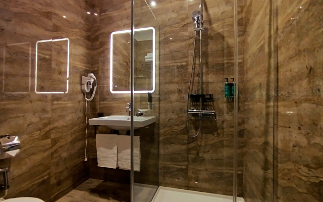 Апартаменты с двуспальной кроватью в мансарде (9)