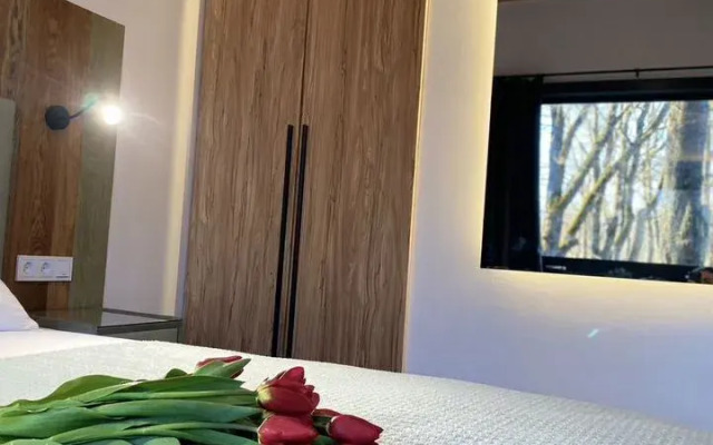 Частный дом Гpaфитoвый