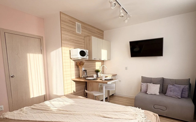 Апартаменты Рябинина 47