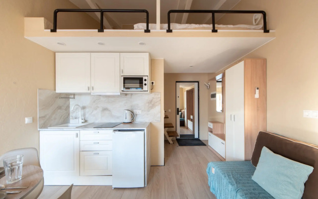 Апартаменты Двухуровневые в центре