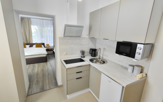 Квартира Студия на Яна Фабрициуса 2\4а (1)