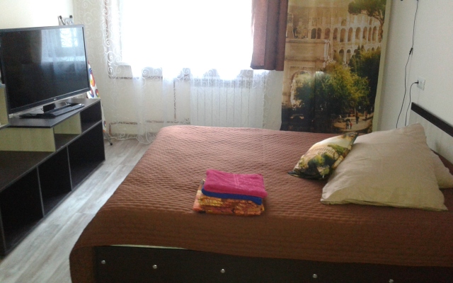 Kvartiryi Posutochno Apartments