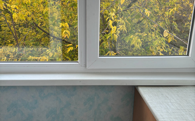 Tryokhkomnatnaya Kvartira Na Pushkinskoy Flat