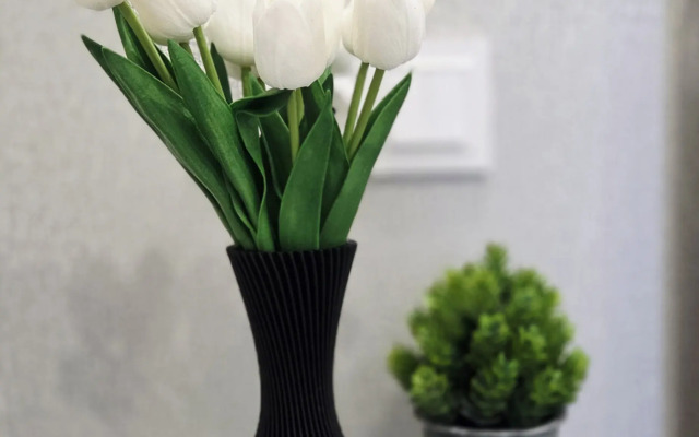 Pentkhaus S Vidom Na Fontan Flat