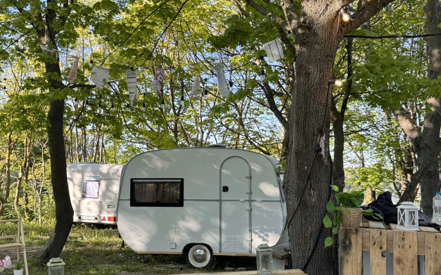 Кемпинг 1000 Звезд